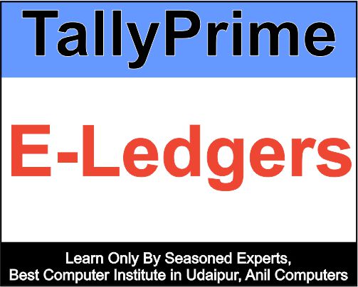 E-Ledgers