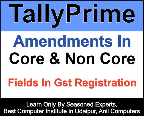 Amendments in Core & Non core fieds in GST Registration