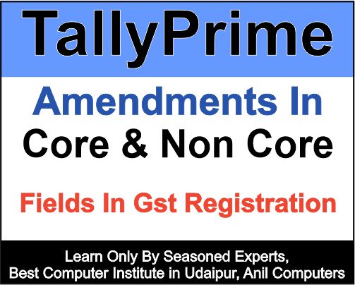 Amendments in Core & Non core fieds in GST Registration