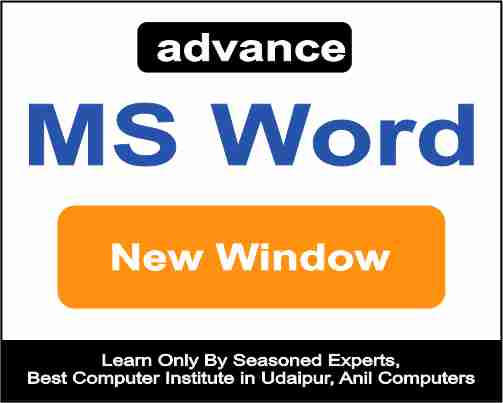 MS   Word New Window