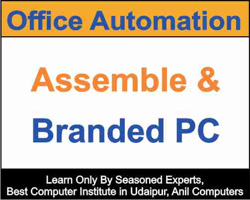 What Is Assemble & Branded PC