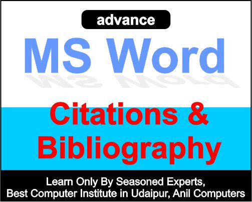 Citations & Bibliography