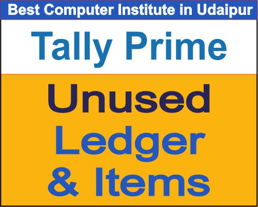 Unused Ledger and Items