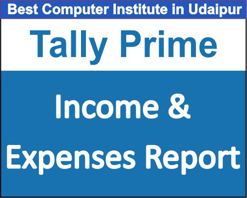 Income & Expenses Report