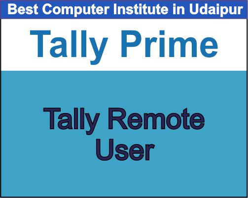 Tally Remote User