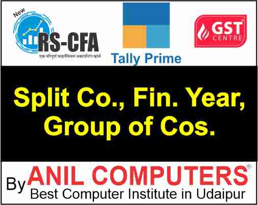 Split, Fin. Year, Group of Cos.  Quiz