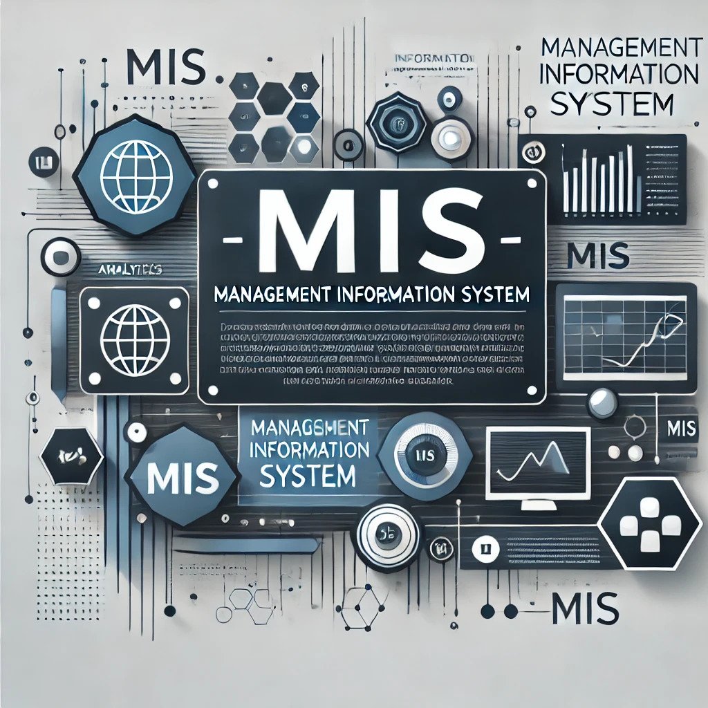 MIS Introduction